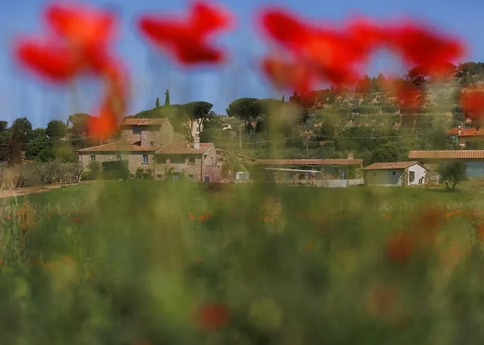 Nello's, Di Pregio Con *